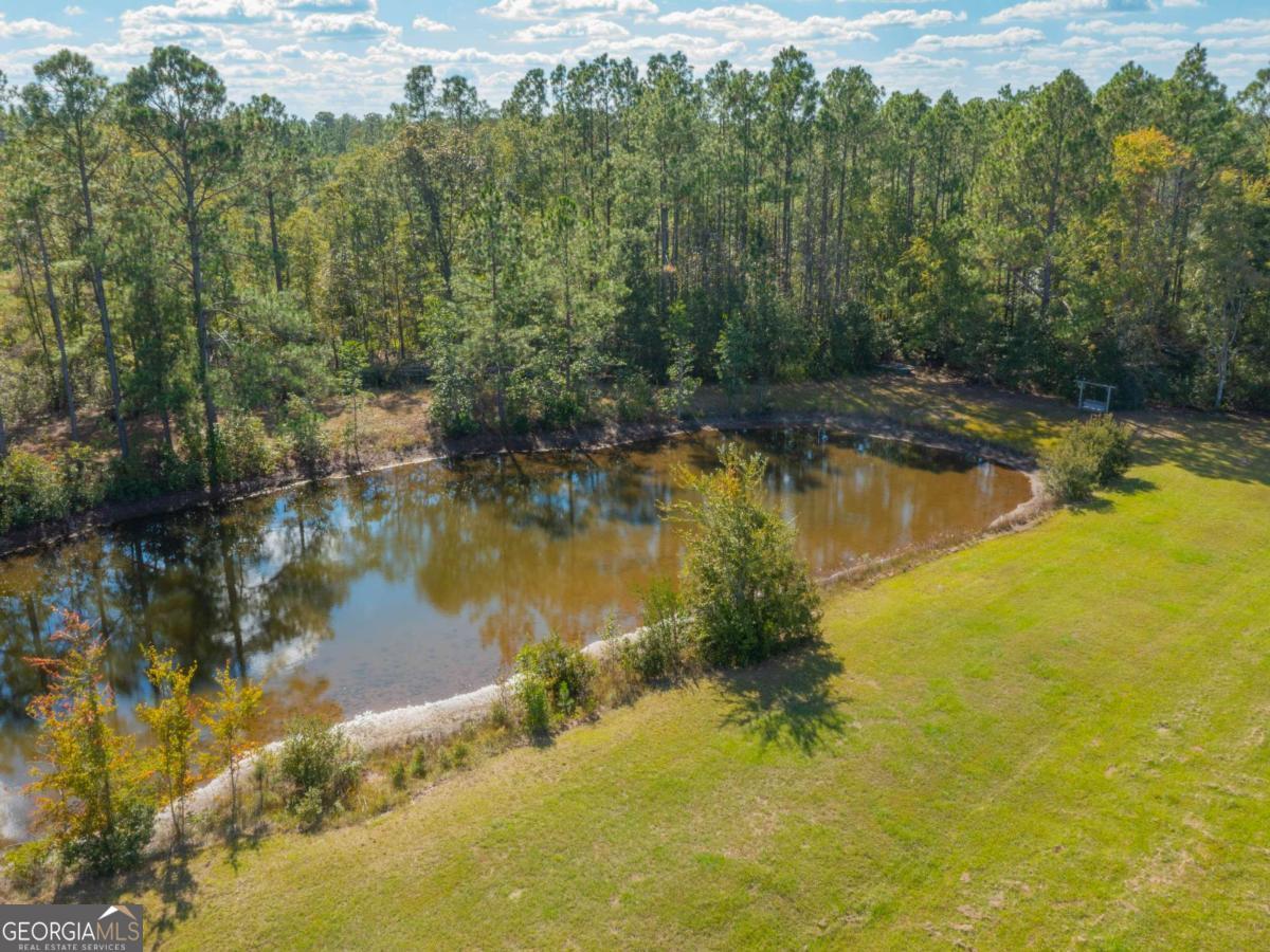 43 Dutch Road Hortense, GA 31543 - Photo 31 of 50