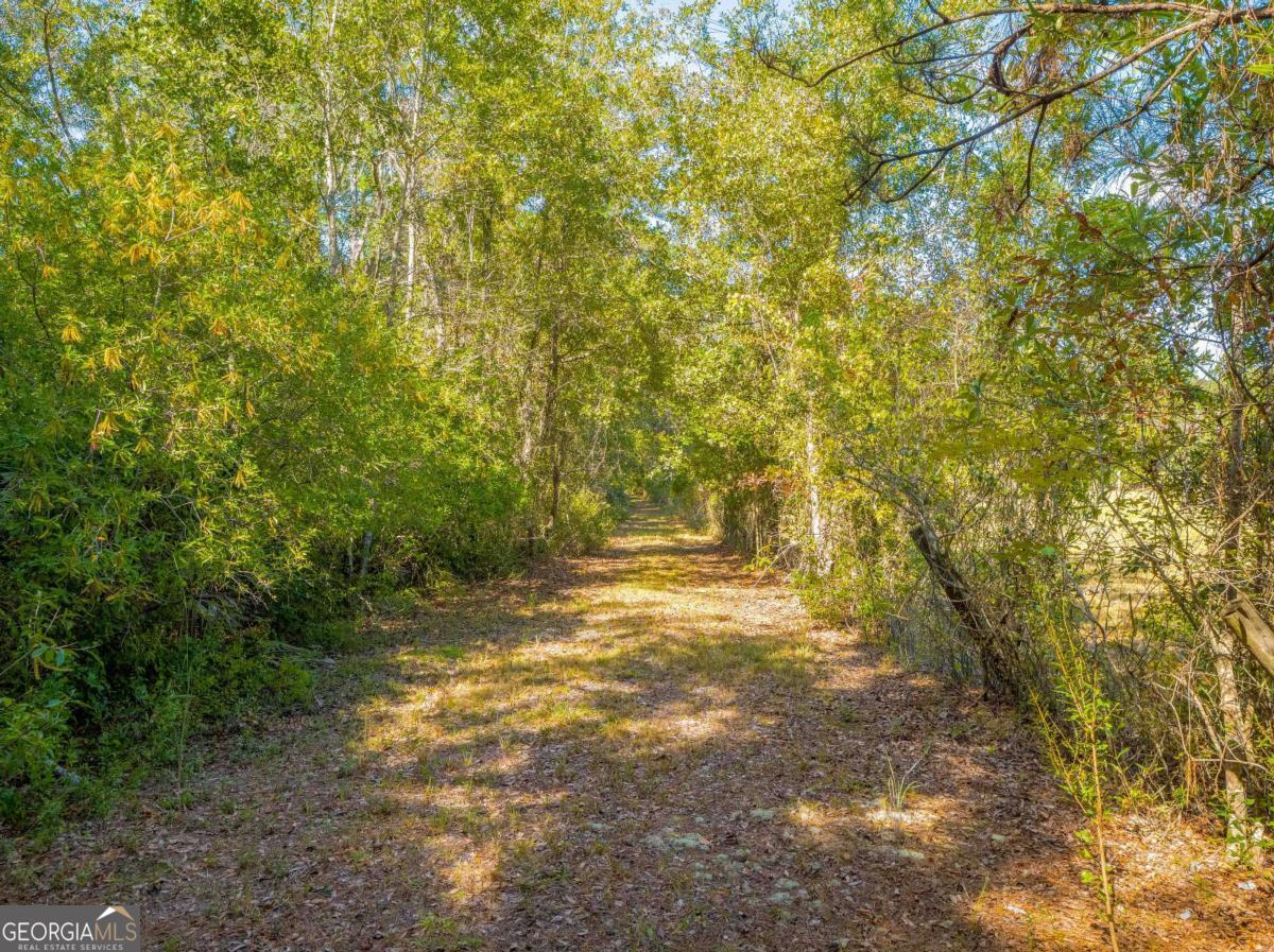 43 Dutch Road Hortense, GA 31543 - Photo 32 of 50