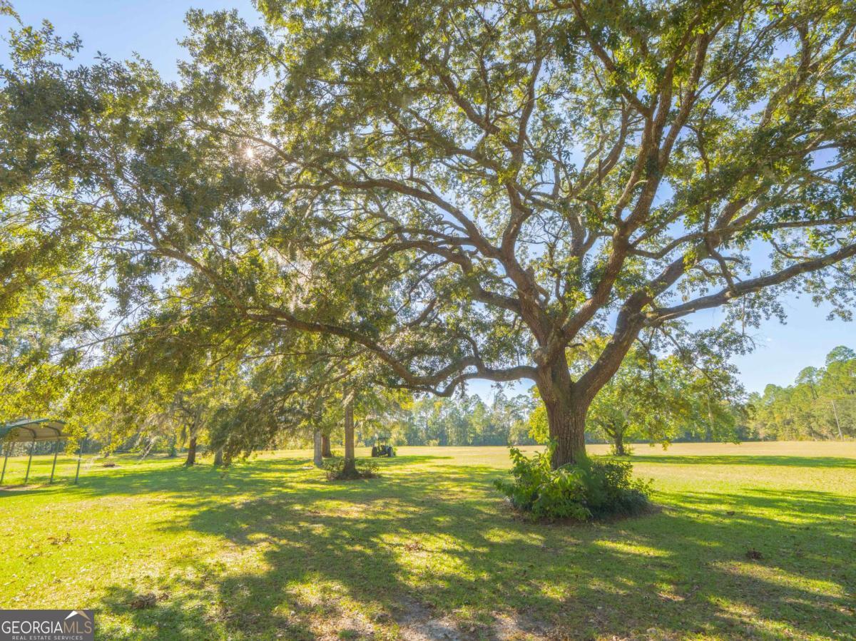 43 Dutch Road Hortense, GA 31543 - Photo 43 of 50