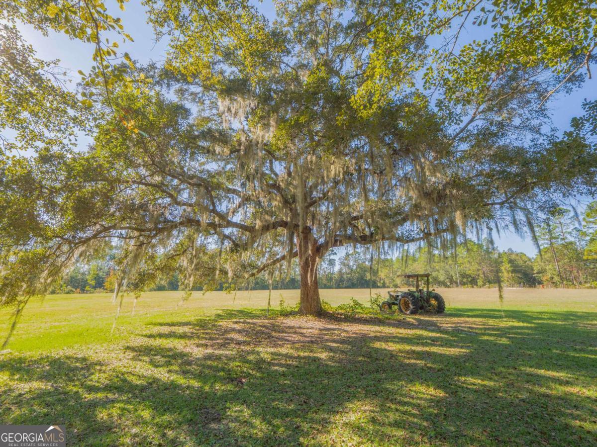 43 Dutch Road Hortense, GA 31543 - Photo 46 of 50