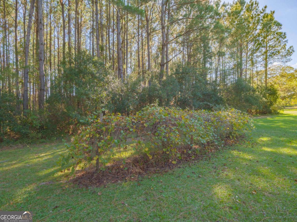 43 Dutch Road Hortense, GA 31543 - Photo 47 of 50