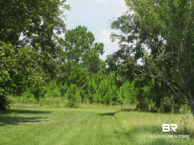 26541 Schoen Road Elberta, AL 36530 - Photo 1 of 1