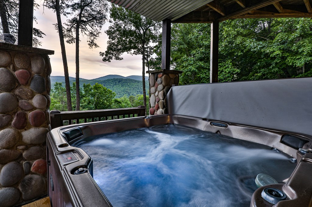 175 Cochise Road Cherry Log, GA 30522 - Photo 30 of 89