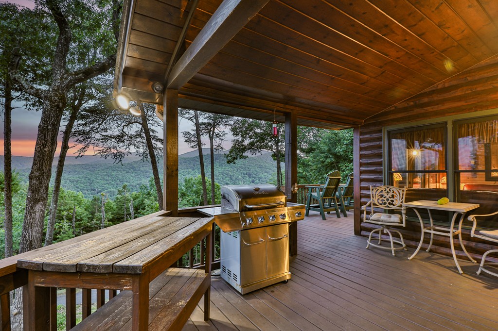 175 Cochise Road Cherry Log, GA 30522 - Photo 33 of 89