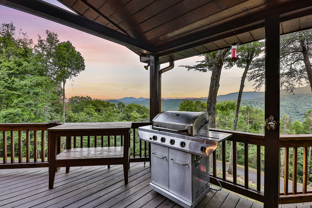 175 Cochise Road Cherry Log, GA 30522 - Photo 43 of 89