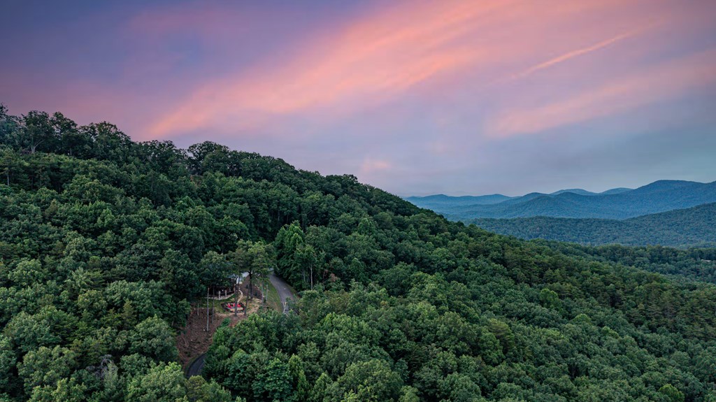 175 Cochise Road Cherry Log, GA 30522 - Photo 56 of 89