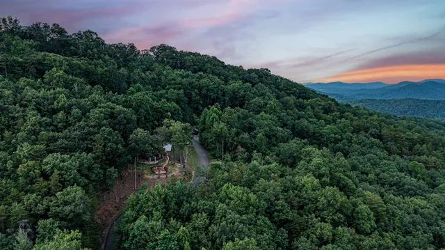 $1,239,000 | 175 Cochise Road, Cherry Log, GA 30522