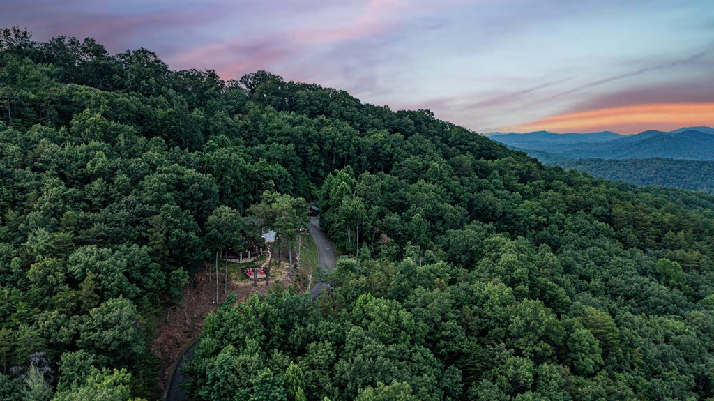 175 Cochise Road Cherry Log, GA 30522 - Photo 57 of 89