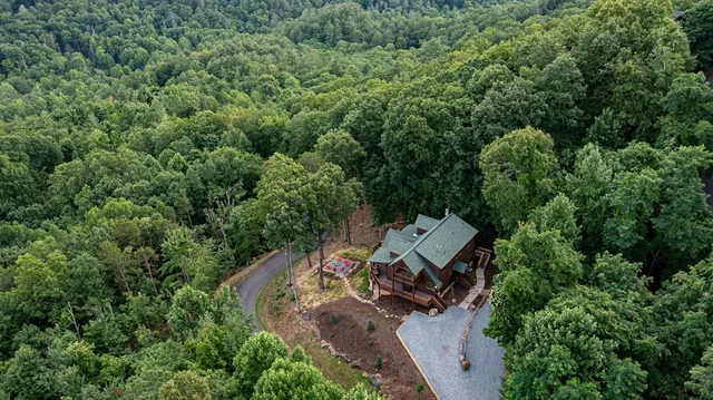 $1,239,000 | 175 Cochise Road, Cherry Log, GA 30522