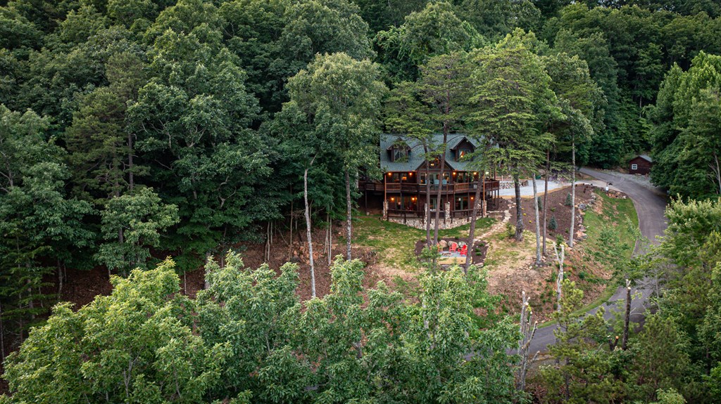 175 Cochise Road Cherry Log, GA 30522 - Photo 61 of 89