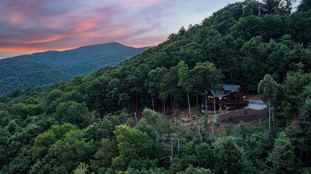 175 Cochise Road Cherry Log, GA 30522 - Photo 68 of 89