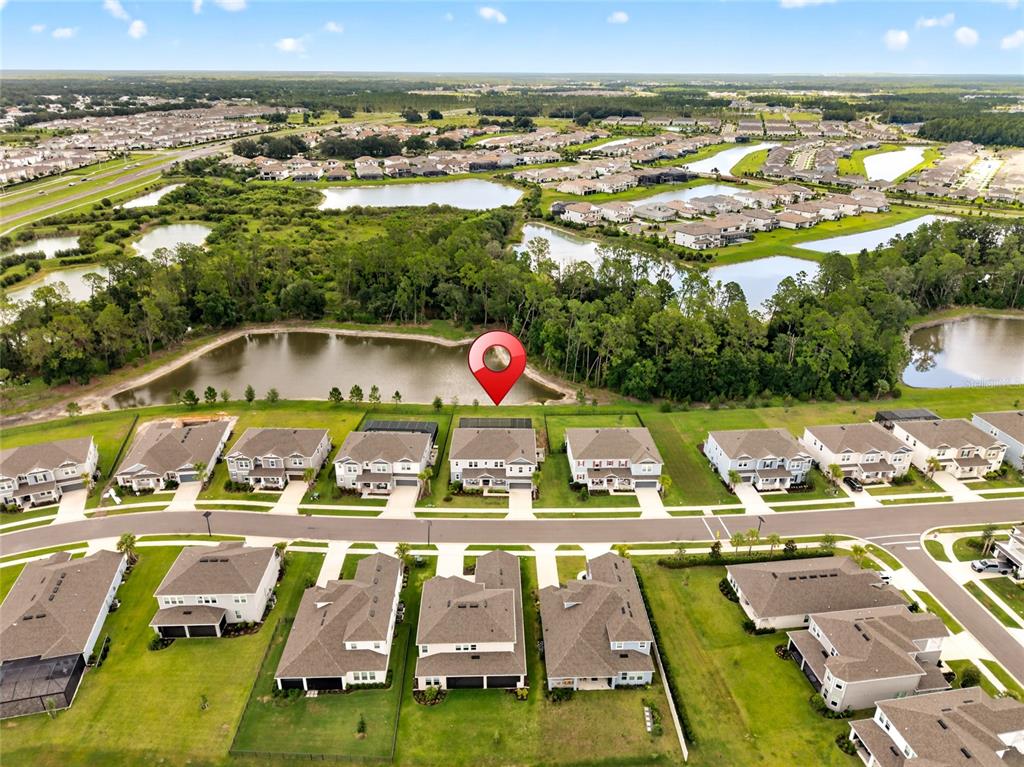 33751 Landsman Loop Wesley Chapel, FL 33543 - Photo 89 of 97