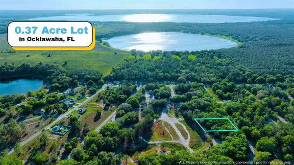 $12,900 | Tbd Malauka Loop, Ocklawaha, FL 32179