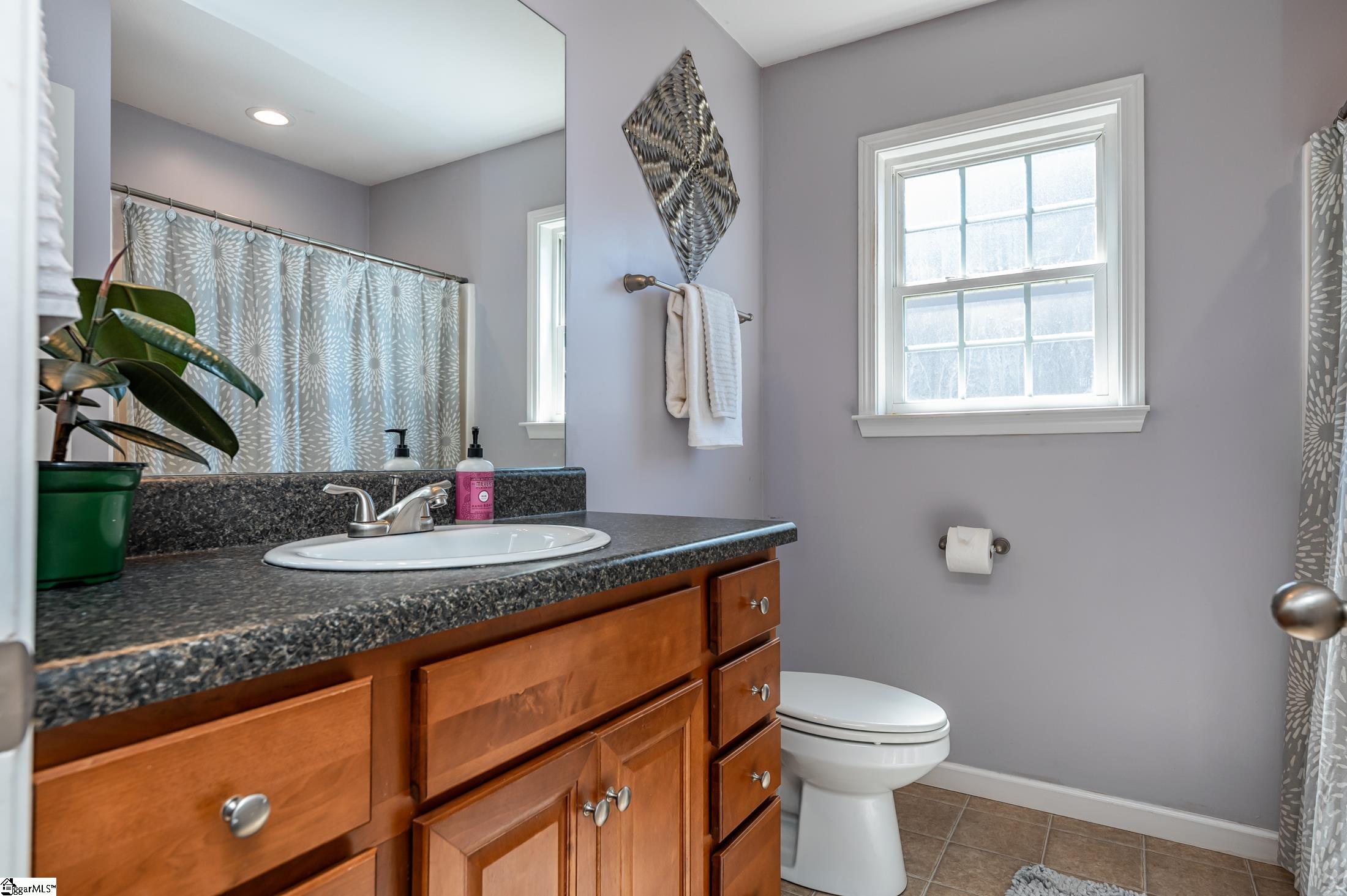 253 Sleepy River Road Simpsonville, SC 29681 - Photo 13 of 23 Gallery Image 13