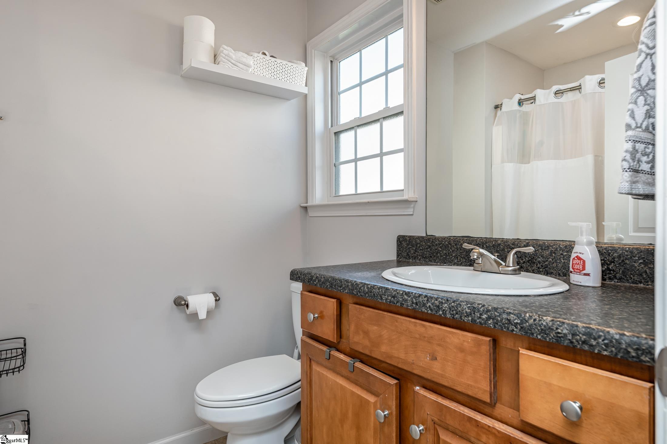 253 Sleepy River Road Simpsonville, SC 29681 - Photo 20 of 23 Gallery Image 20