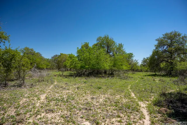 a view of a field of grass and trees