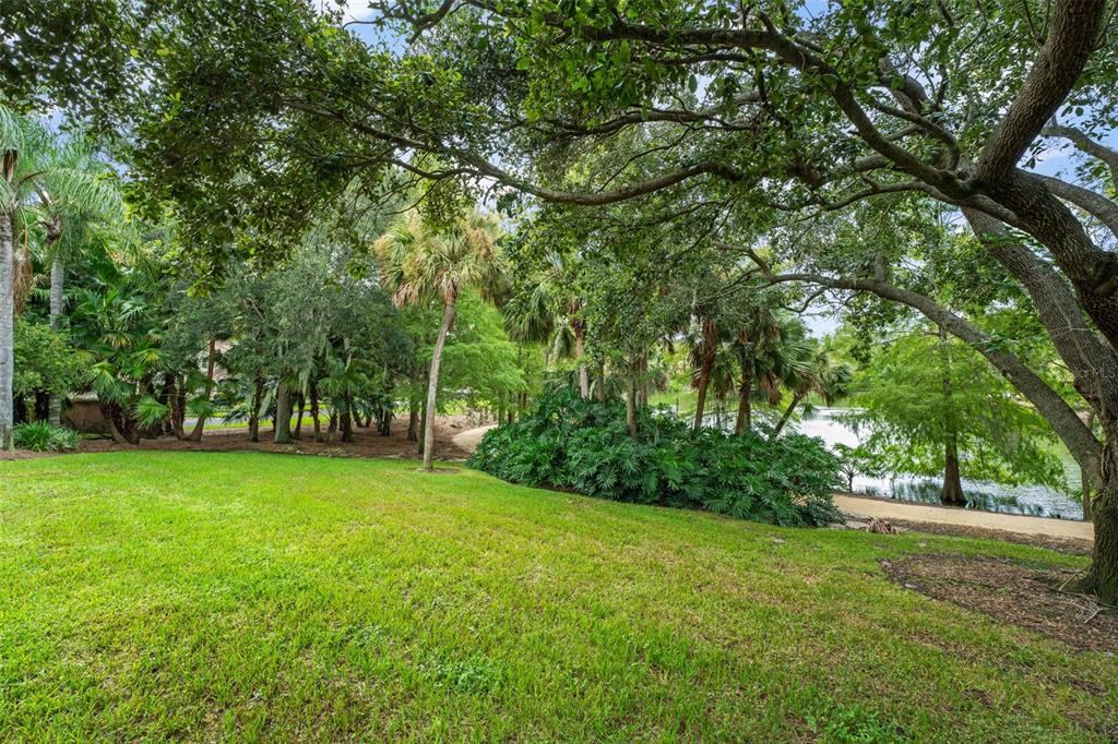 4812 Alexandra Garden Court Windermere, FL 34786 - Photo 57 of 65 a view of a trees with a yard
