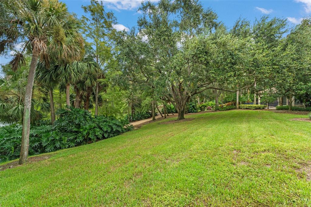 4812 Alexandra Garden Court Windermere, FL 34786 - Photo 60 of 65 a view of a field with a trees
