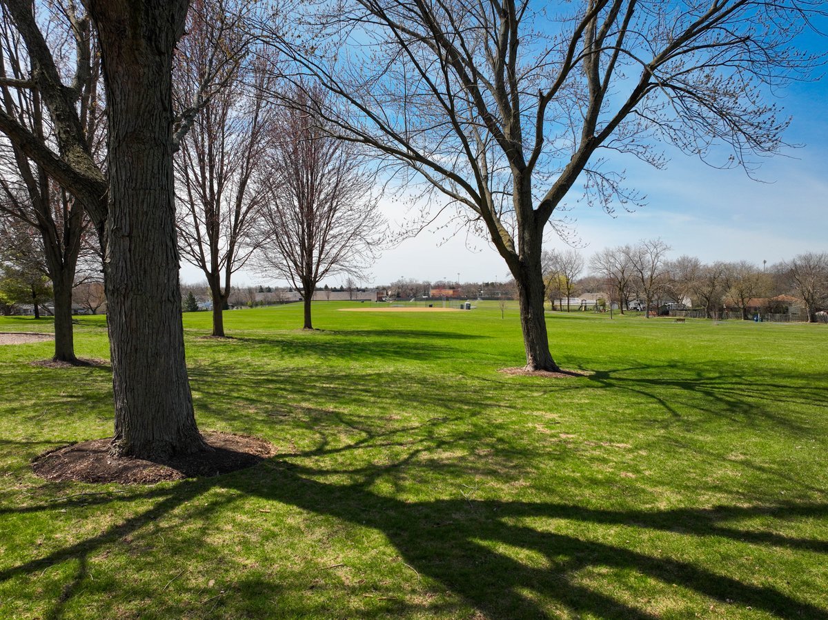 464 Winterwood Drive Roselle, IL 60172 - Photo 30 of 39 a view of an trees with a yard