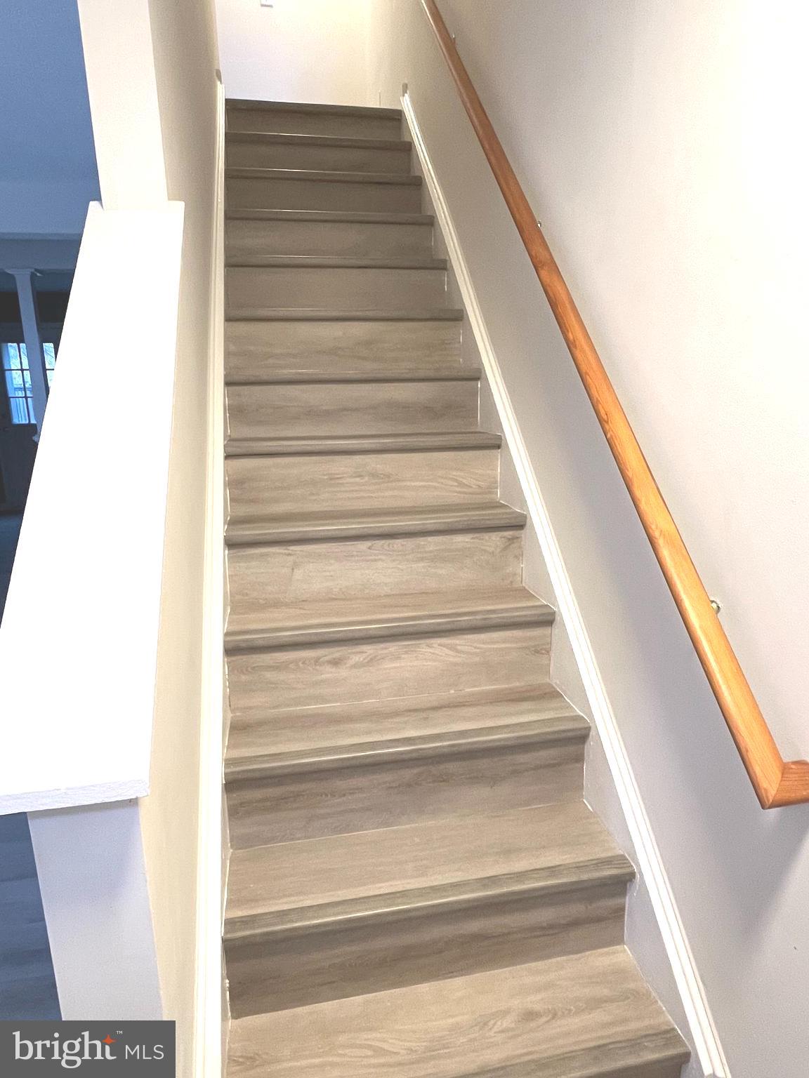 305 Sutton Court Winchester, VA 22601 - Photo 19 of 30 New LVP stairs