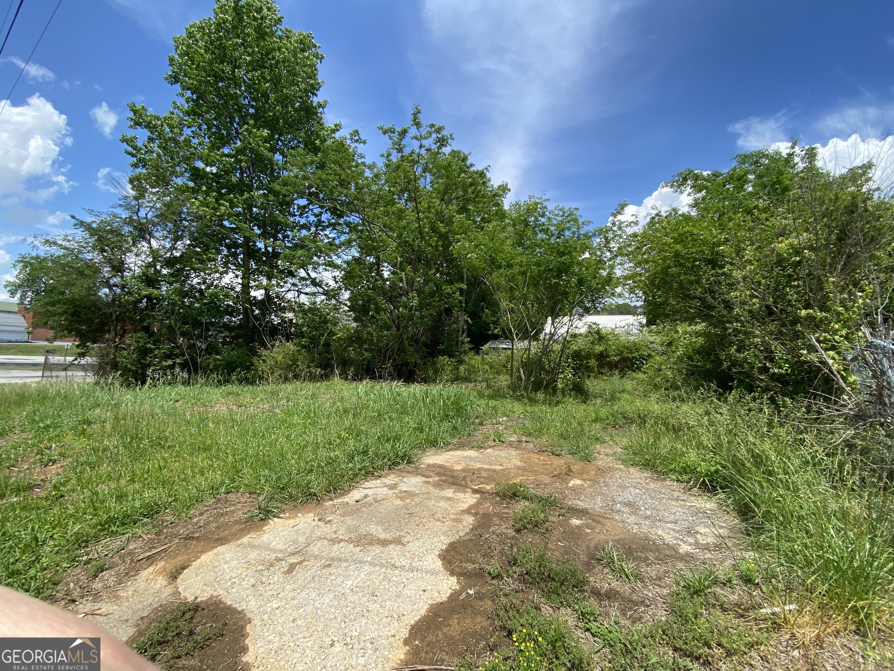 0 Farris Street LaFayette, GA 30728 - Photo 2 of 8 a view of a yard with plants and a large tree
