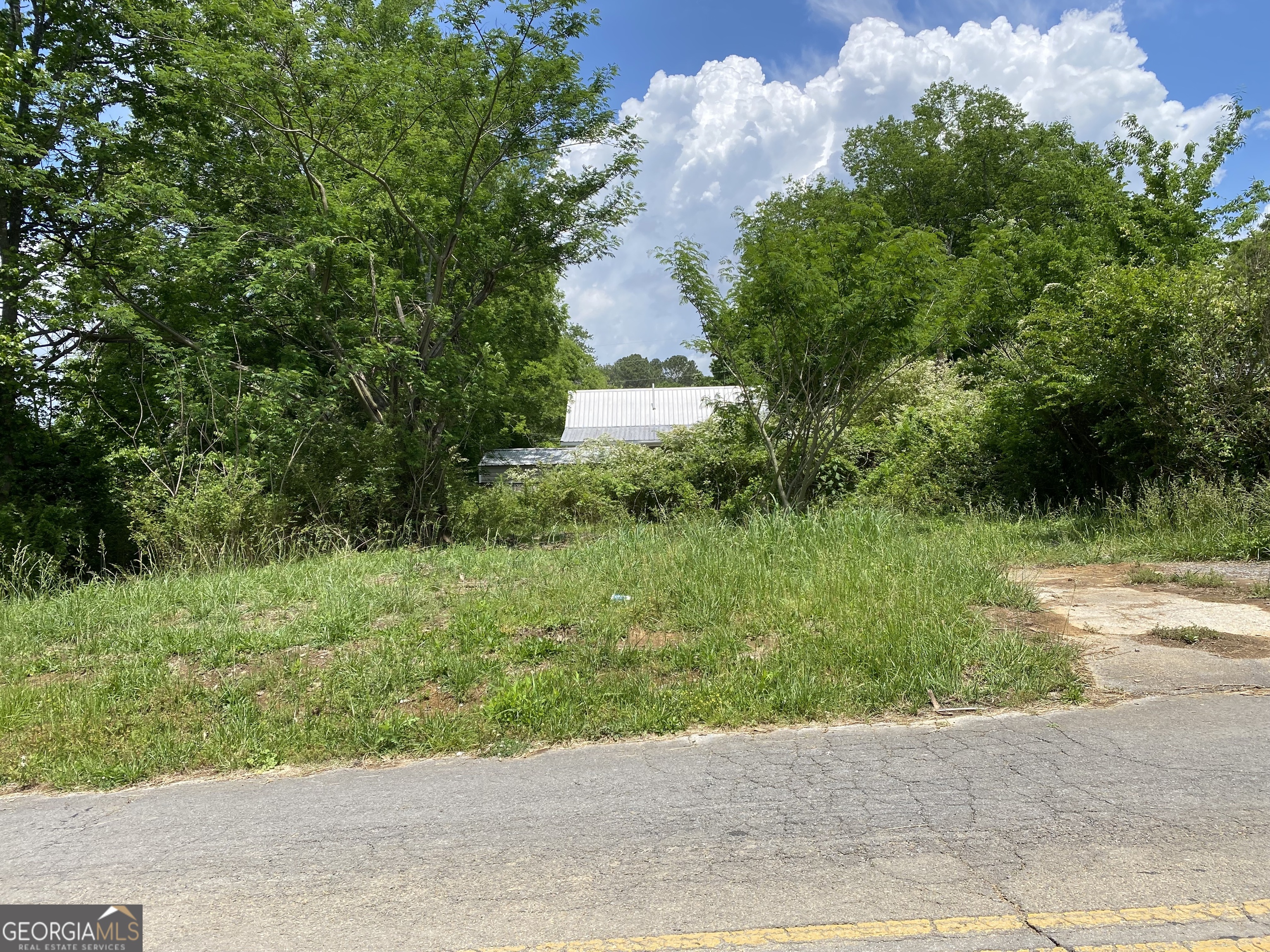 0 Farris Street LaFayette, GA 30728 - Photo 3 of 8 a view of a garden with a fountain