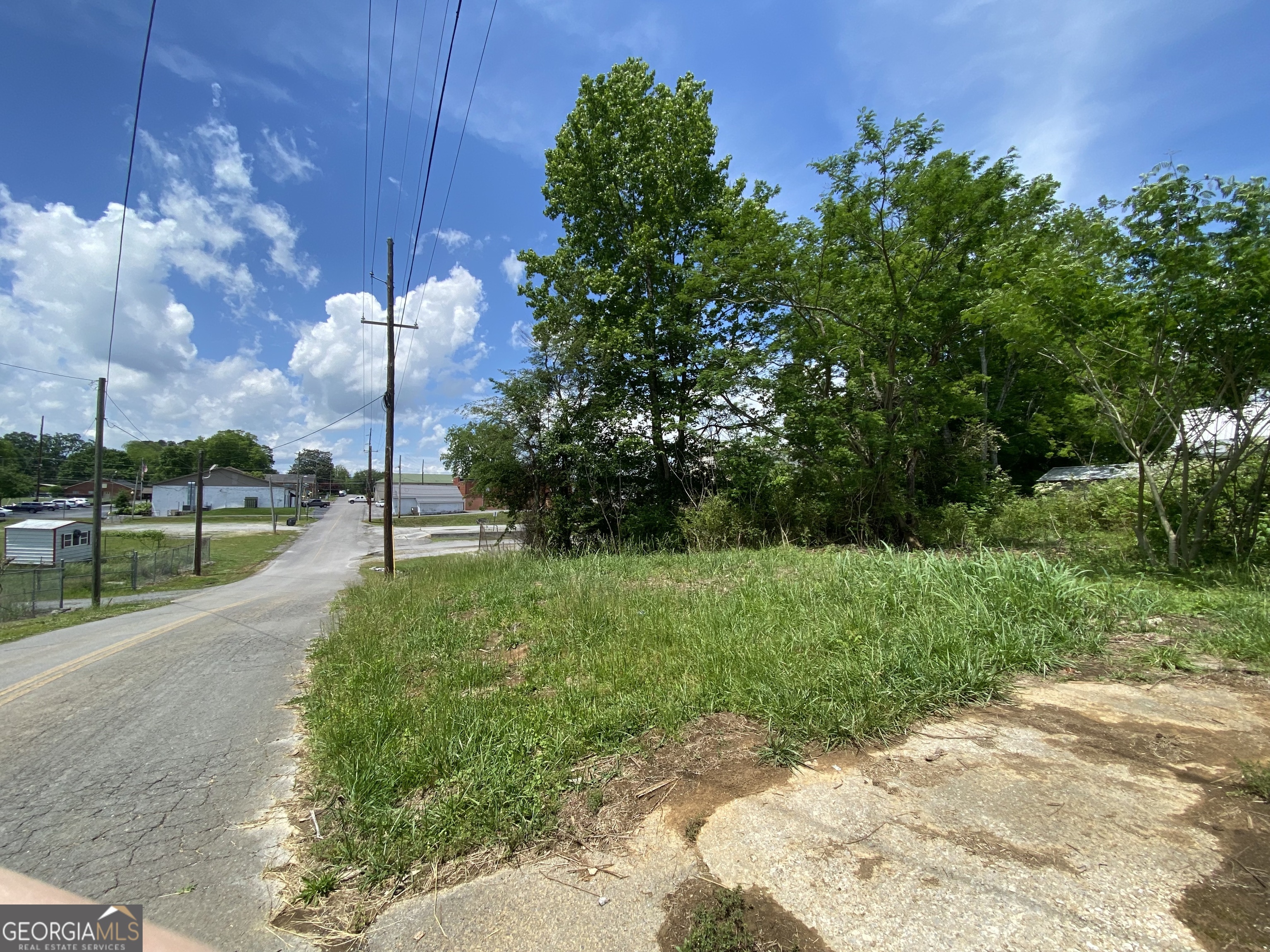 0 Farris Street LaFayette, GA 30728 - Photo 4 of 8 a view of a park with a tree
