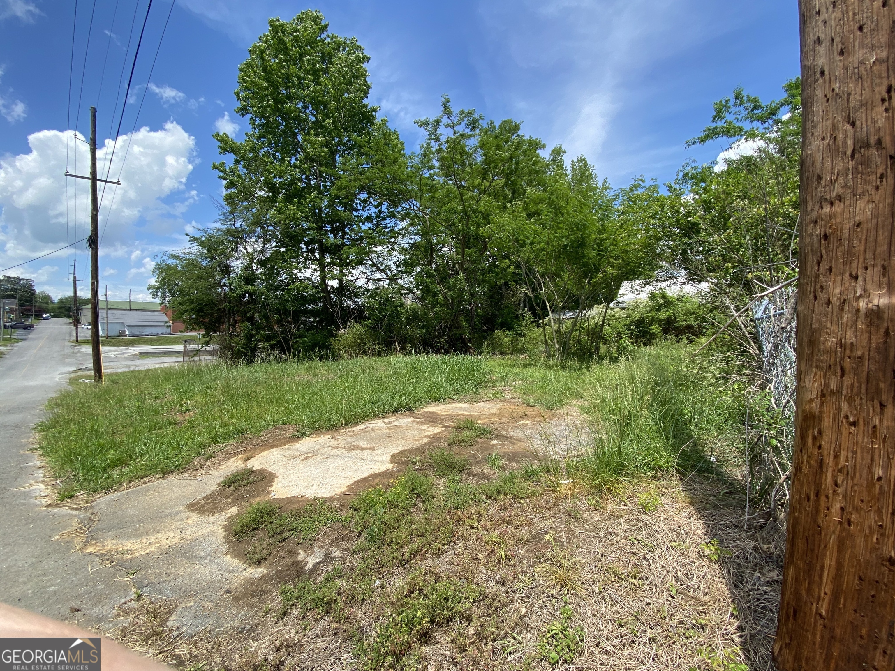 0 Farris Street LaFayette, GA 30728 - Photo 5 of 8 a view of a garden with a tree