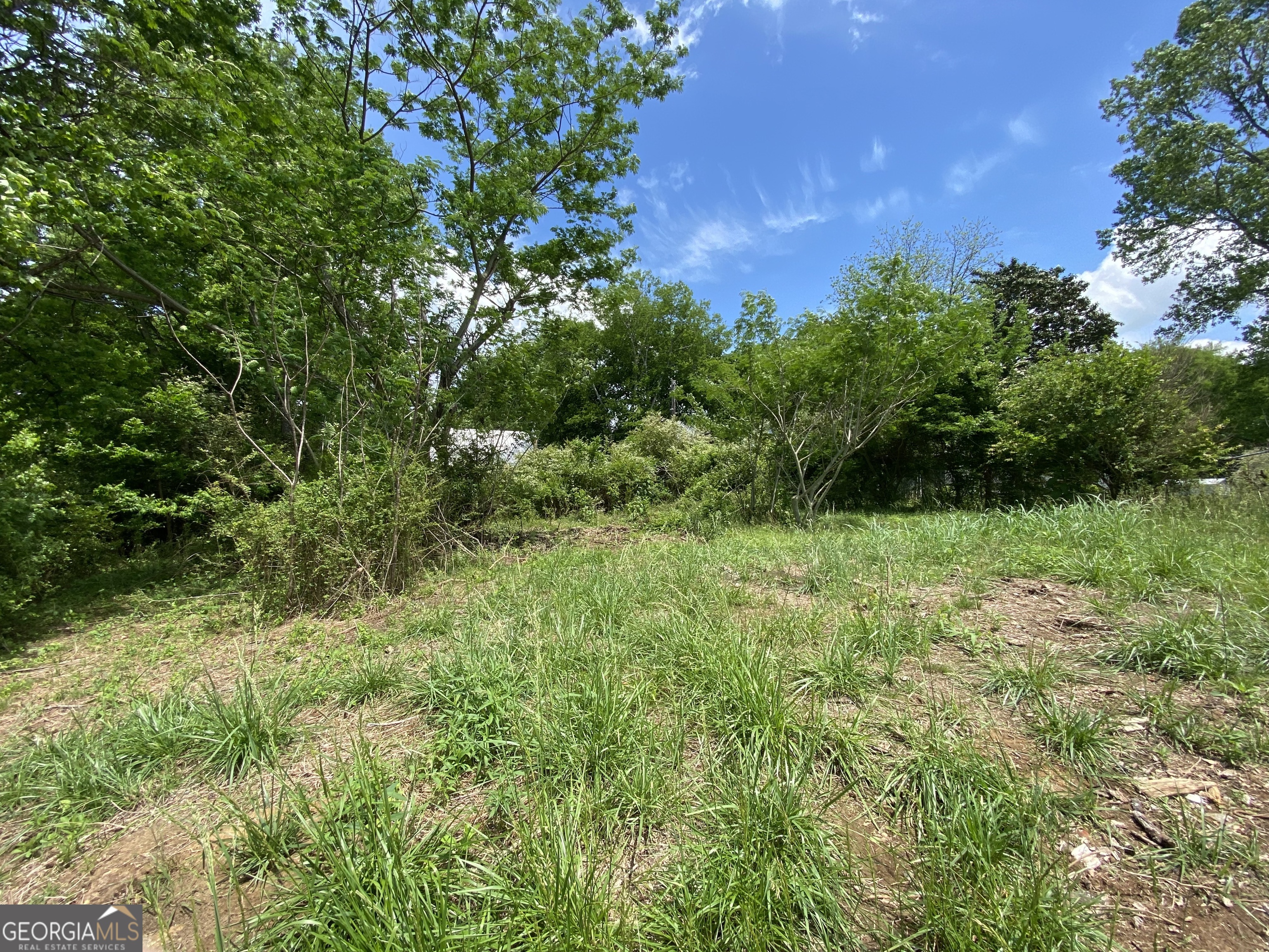 0 Farris Street LaFayette, GA 30728 - Photo 8 of 8 a view of a garden