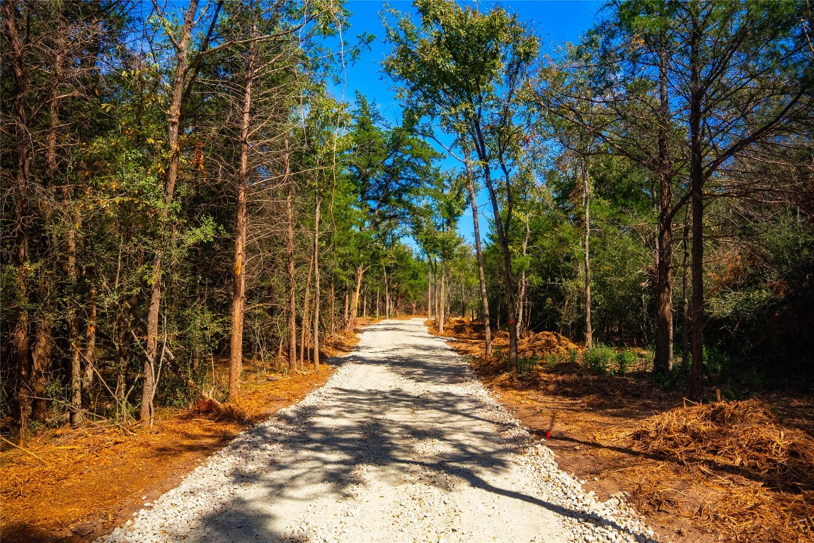 12608 Red Hill Road Hearne, TX 77859 - Photo 2 of 10 a view of outdoor space with deck and trees