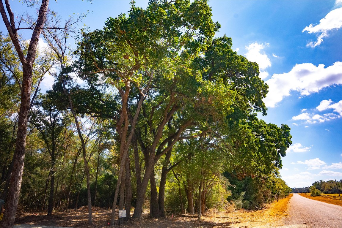 12608 Red Hill Road Hearne, TX 77859 - Photo 3 of 10 a view of road with covered with trees
