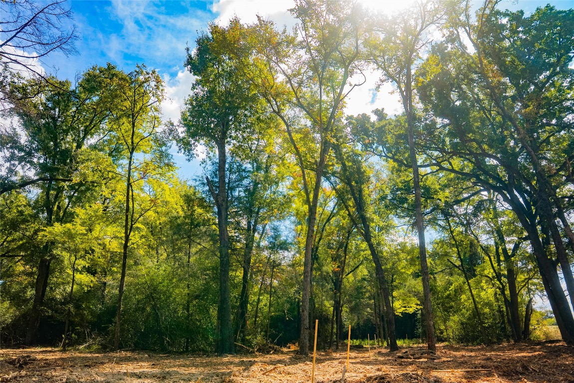 12608 Red Hill Road Hearne, TX 77859 - Photo 8 of 10 a view of a yard with plants and trees