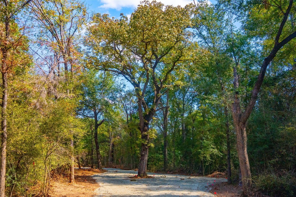 12608 Red Hill Road Hearne, TX 77859 - Photo 10 of 10 a view of a yard with plants and trees