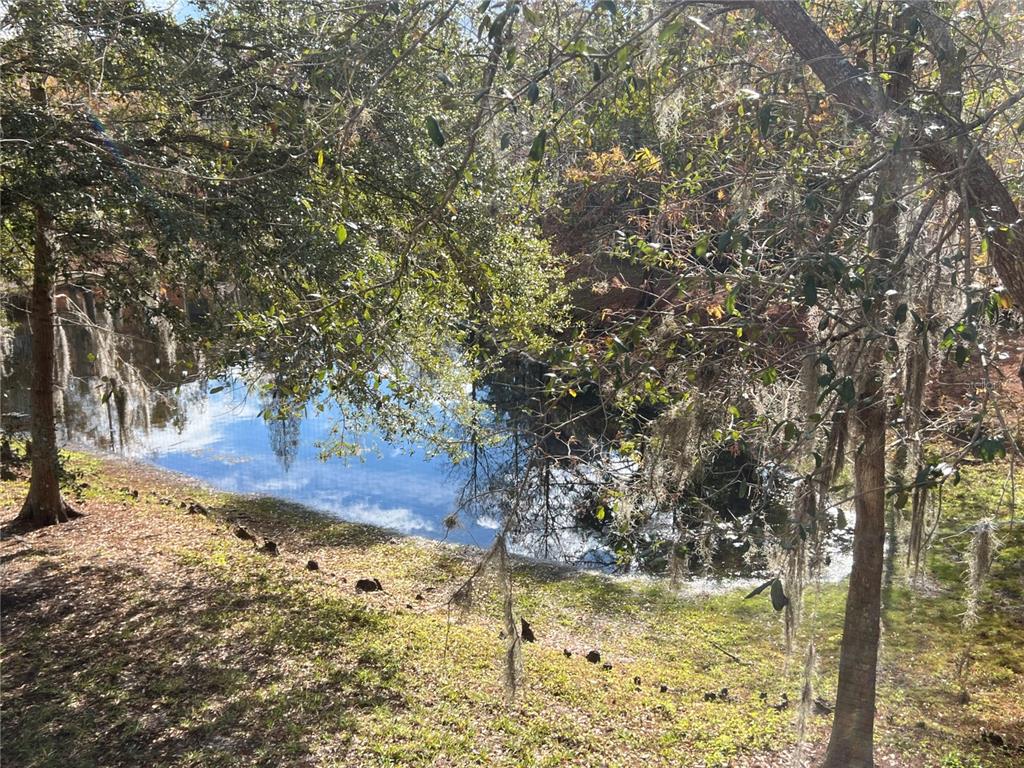7350 Black Walnut Way Lakewood Ranch, FL 34202 - Photo 28 of 52 a view of a yard