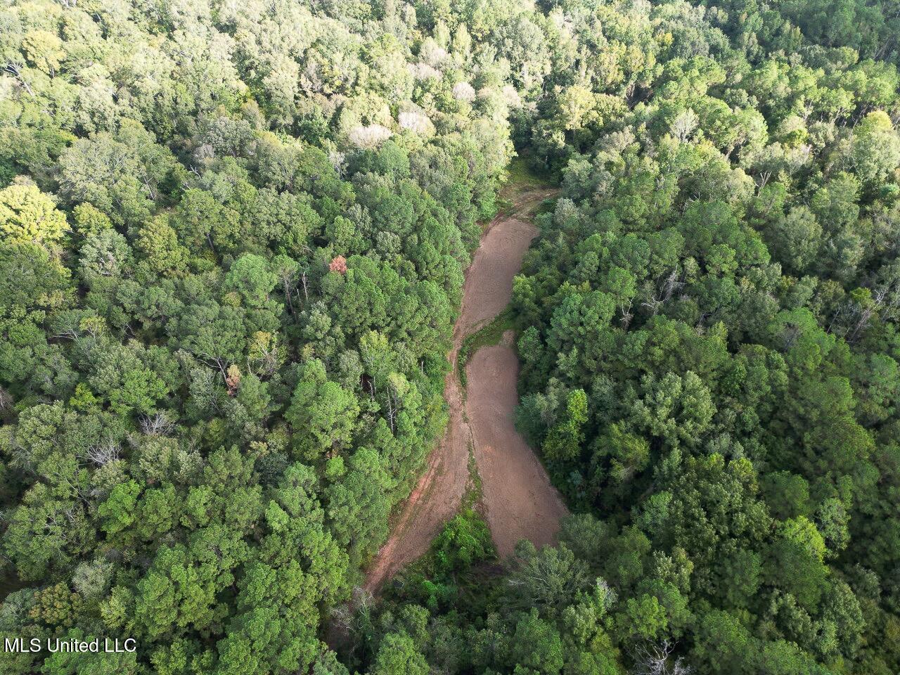 571 Smith Road Woodville, MS 39669 - Photo 21 of 45 DJI_0016 Large Large