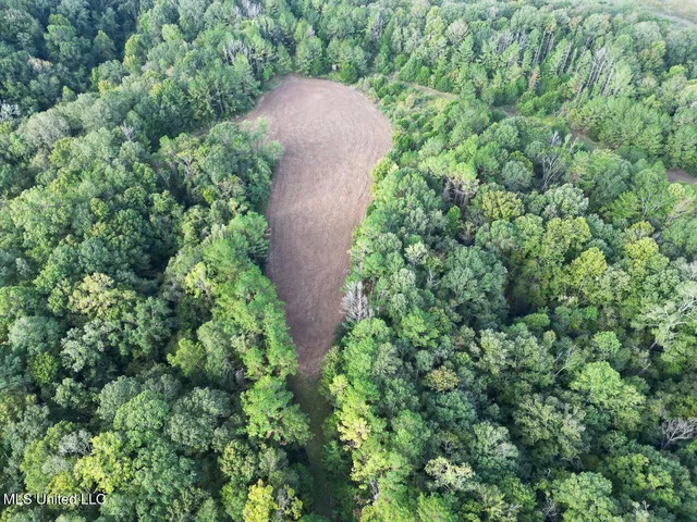 $4,400,000 | 571 Smith Road, Woodville, MS 39669