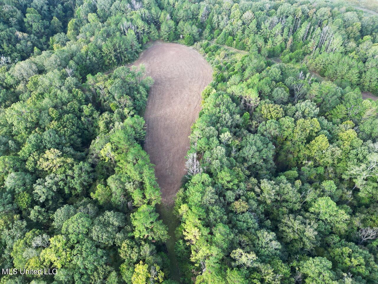 571 Smith Road Woodville, MS 39669 - Photo 23 of 45 DJI_0018 Large Large