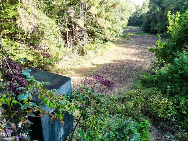 $4,400,000 | 571 Smith Road, Woodville, MS 39669