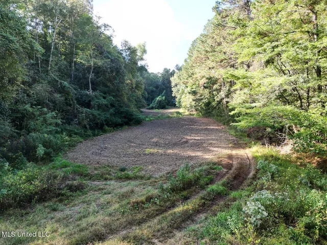 $4,400,000 | 571 Smith Road, Woodville, MS 39669