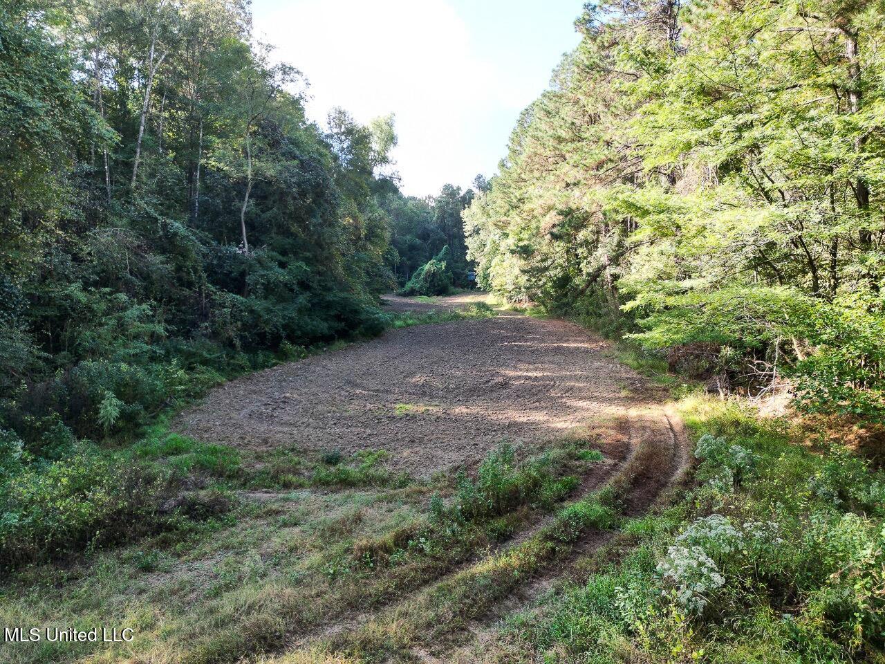 571 Smith Road Woodville, MS 39669 - Photo 25 of 45 DJI_0021 Large Large