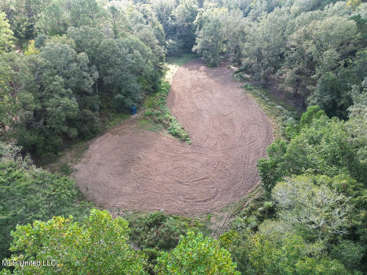 571 Smith Road Woodville, MS 39669 - Photo 26 of 45 DJI_0025 Large Large