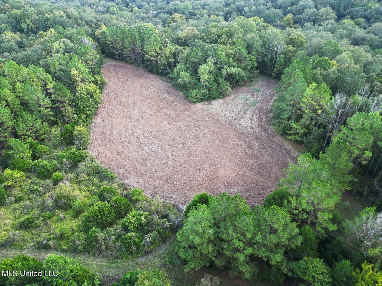 571 Smith Road Woodville, MS 39669 - Photo 28 of 45 DJI_0029 Large Large