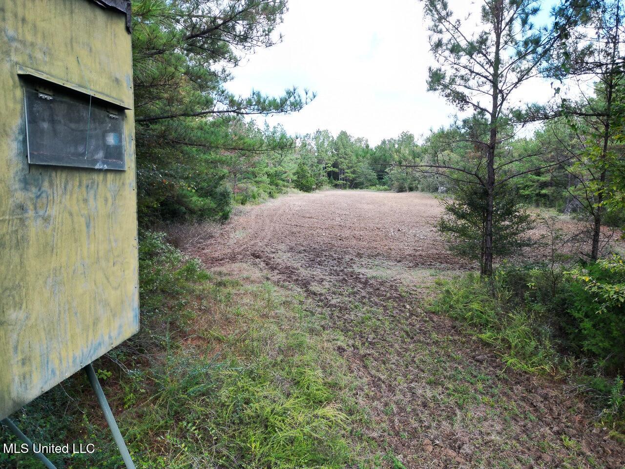 571 Smith Road Woodville, MS 39669 - Photo 29 of 45 DJI_0034 Large Large