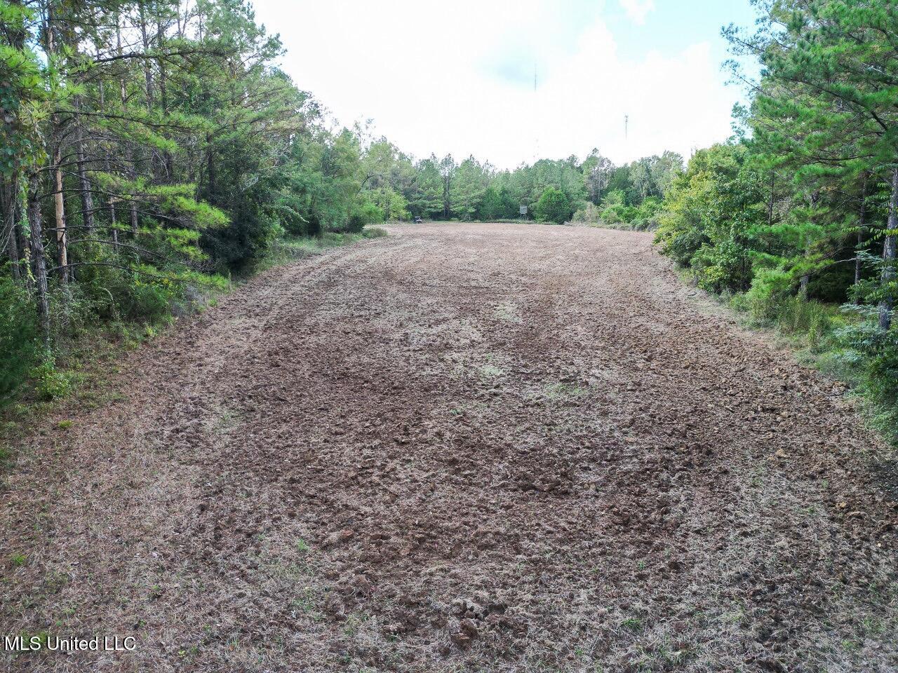 571 Smith Road Woodville, MS 39669 - Photo 30 of 45 DJI_0036 Large Large