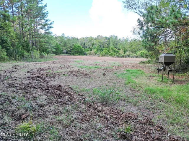 $4,400,000 | 571 Smith Road, Woodville, MS 39669