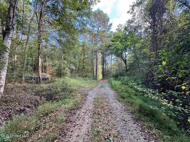 $4,400,000 | 571 Smith Road, Woodville, MS 39669