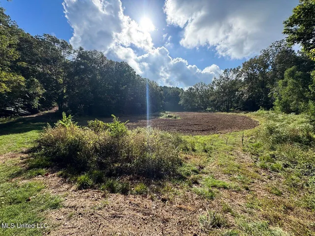 $4,400,000 | 571 Smith Road, Woodville, MS 39669