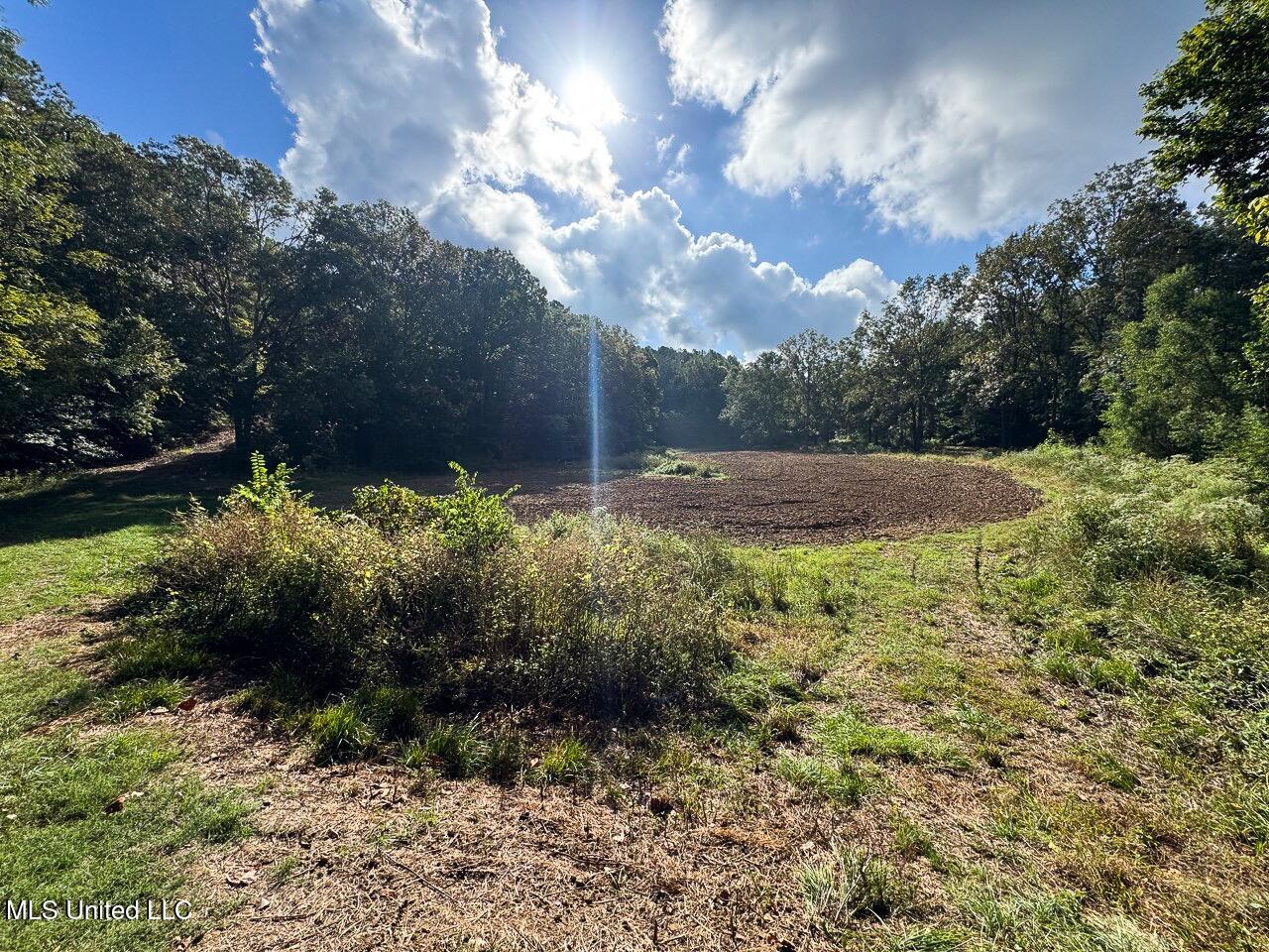 571 Smith Road Woodville, MS 39669 - Photo 33 of 45 IMG_9105 Large Large