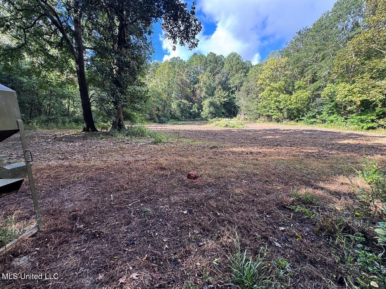 571 Smith Road Woodville, MS 39669 - Photo 34 of 45 IMG_9106 Large Large