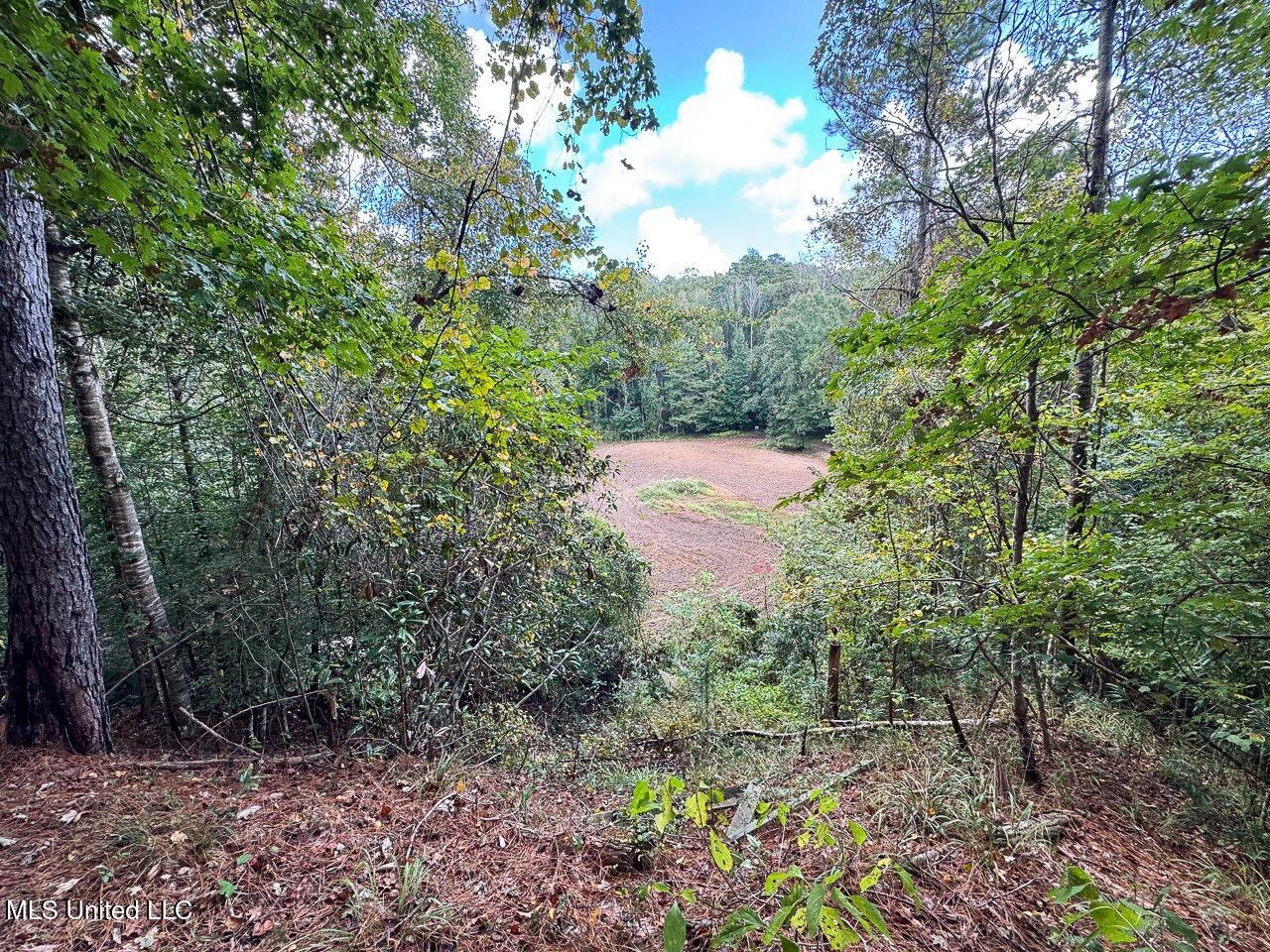 571 Smith Road Woodville, MS 39669 - Photo 35 of 45 IMG_9109 Large Large